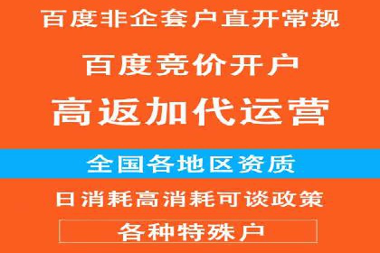竞价排名中的数据分析和优化案例